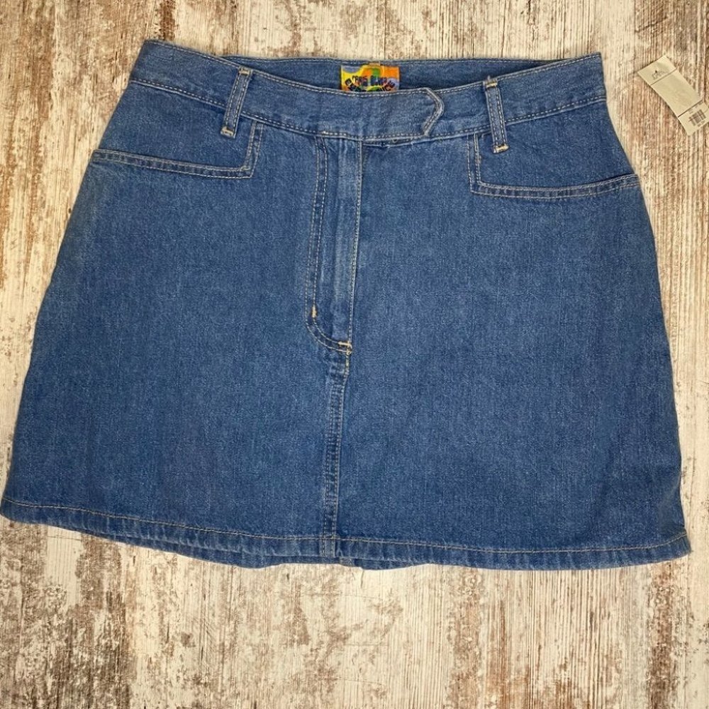 NWT Vintage Paris Blues Mini Skirt